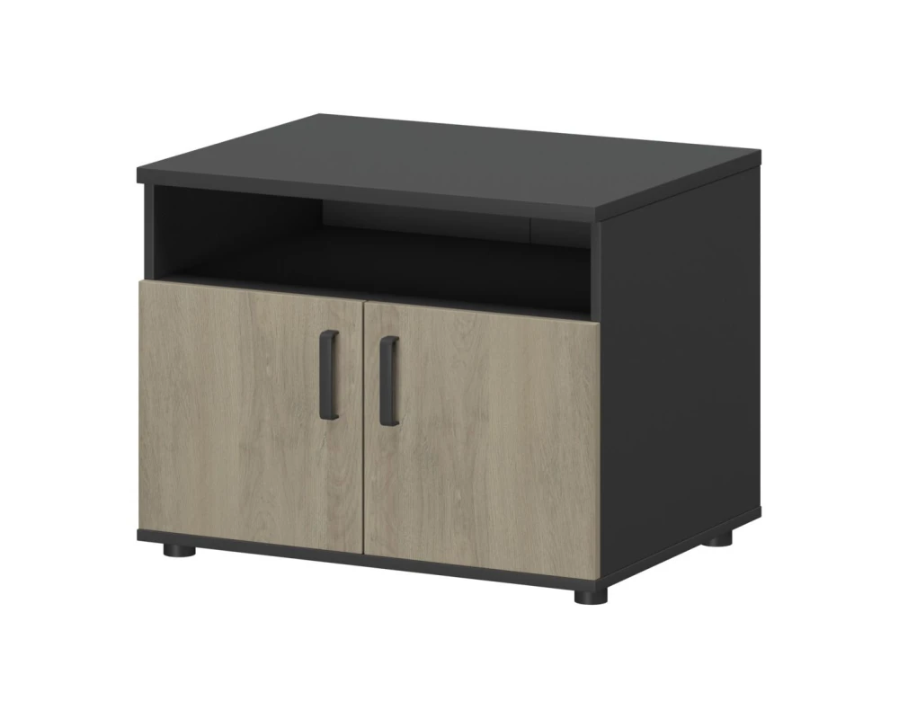 Тумба для оргтехники СМТ-2ДН Тип1 800x600x607 Смарт (pt)