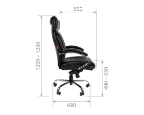 Кресло CHAIRMAN CH423 эко images